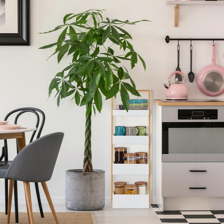 Productafbeelding Relaxdays Badkamerplank (30 x 18 x 88 cm)