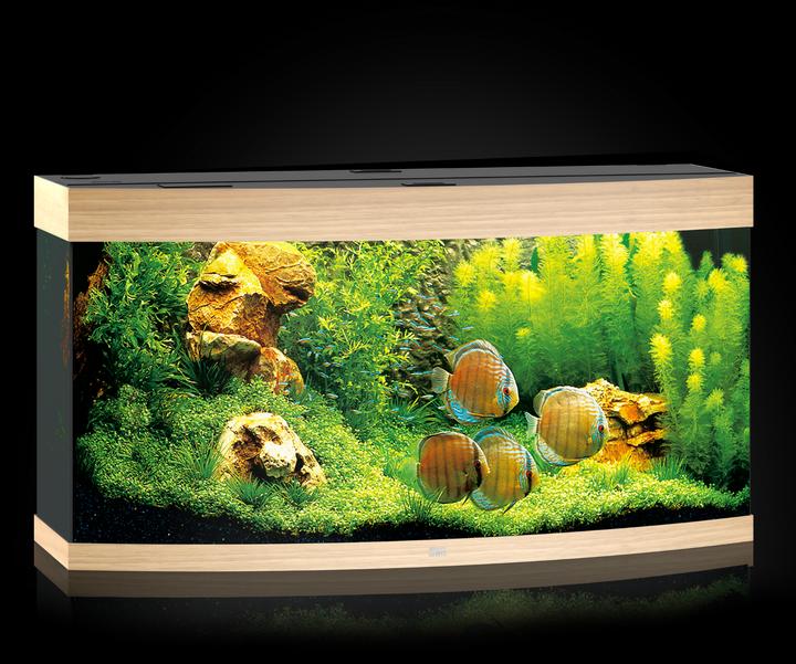 Produktbild Juwel Aquarium Vision 260 LED (260 l)