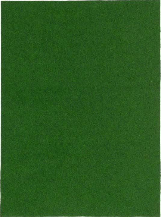 Actual product image Snapstyle Kunstrasen Rasenteppich mit Noppen Kingston (50 x 400 cm)