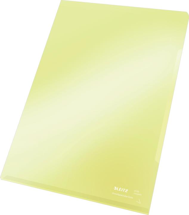 Immagine prodotto Leitz Premium A4 View Sleeve (A4, 100 x)