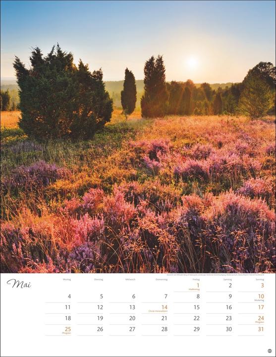 Produktbild Jenseits der Hast Posterkalender 2026 (34 x 44 cm, Harter Einband, Deutsch)