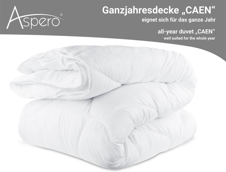 Produktbild Aspero Ganzjahresdecke CAEN (1940 g, 240 x 220 cm)