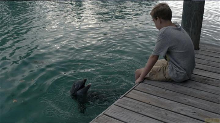 Produktbild Echo, der Delphin - Eine Freundschaft fürs Leben (DVD) (DVD, 2019, Deutsch, Englisch)