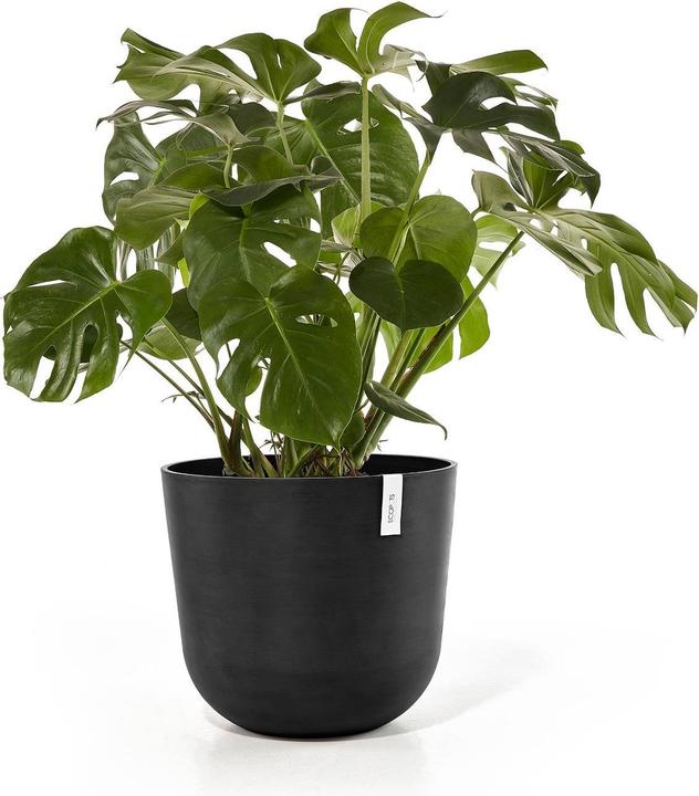 Immagine prodotto Ecopots Oslo (55 cm)