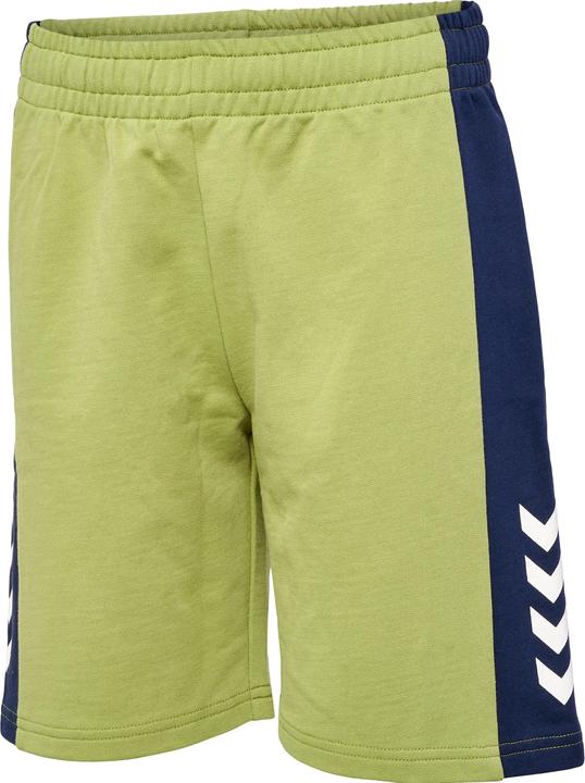 hummel Hmlrush Block Shorts