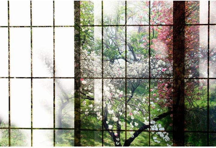 Produktbild Livingwalls Walls by Patel 2 orchard 2 (270 x 400 cm)