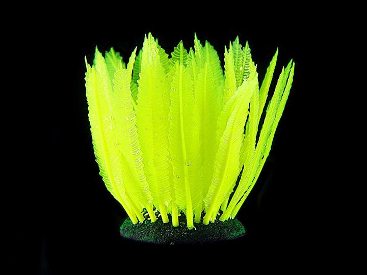 Produktbild Amazonas Fantasy (Dekoration, Pflanzen)