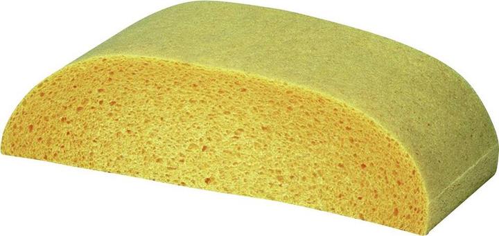 IWH Viscose sponge