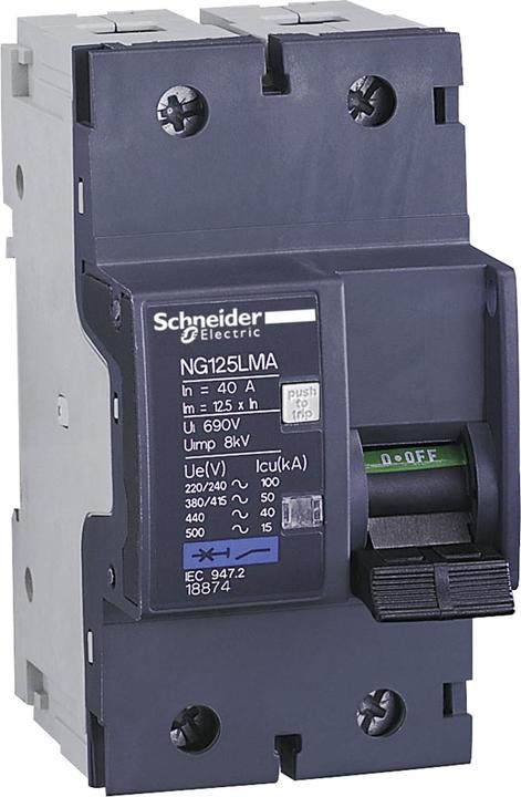 Image du produit Schneider Electric Disjoncteur NG125LMA, 2P, 25A, MA 18873