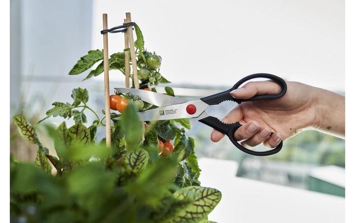 Actual product image Zwilling Twin L (23 cm)