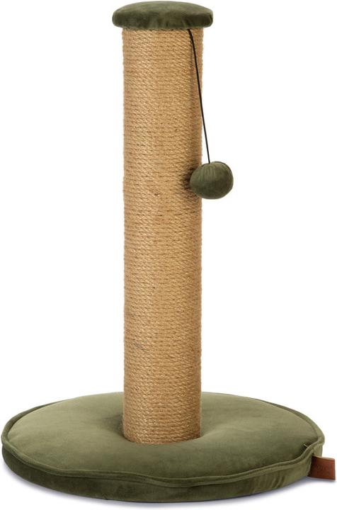 Figue, Vert