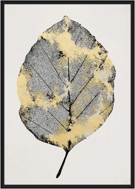 pfister Muskat (65 x 92.5 cm)