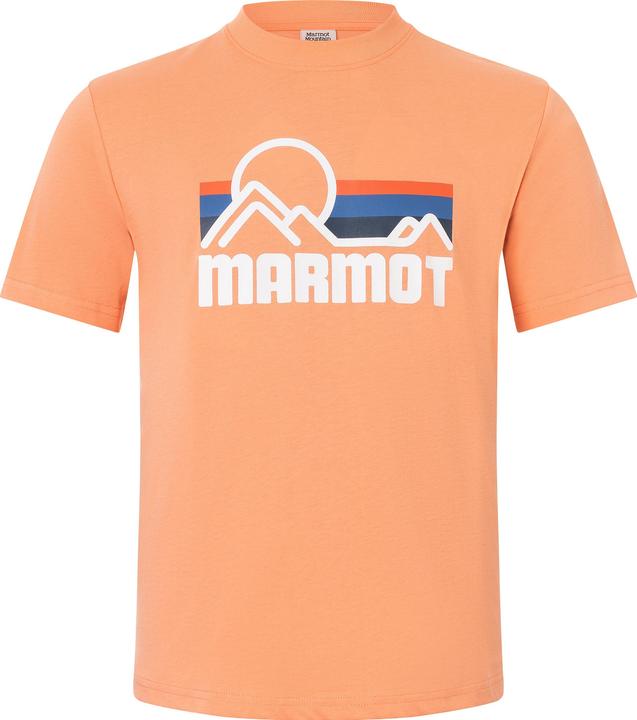 fresh apricot