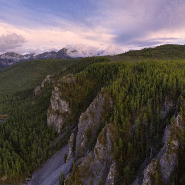 Image du produit PolarPro Filtre de la série standard (DJI Mavic Pro)