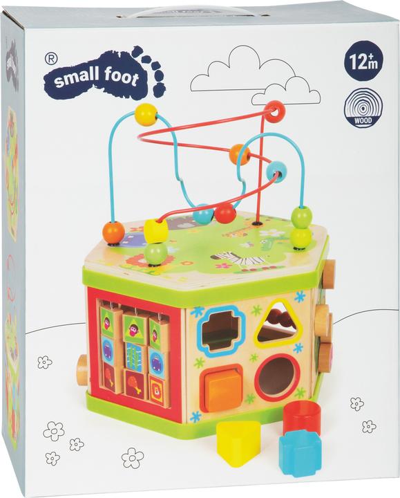Actual product image small foot Motoric Cube Safari