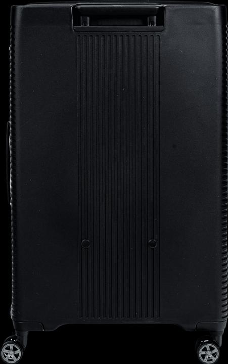Actual product image Swissbags Magna (112 l, L (90 - 115l))