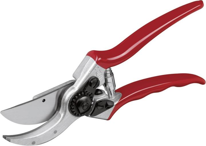 Actual product image Felco 2 with torch