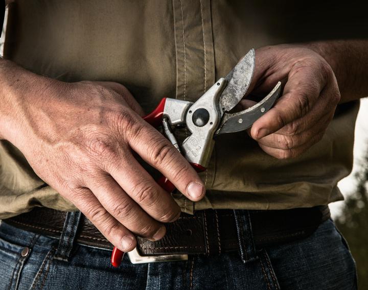 Actual product image Felco 2 with torch
