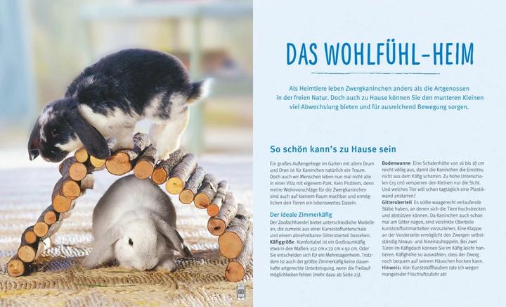 Produktbild Zwergkaninchen (Deutsch, Monika Wegler, 2014)