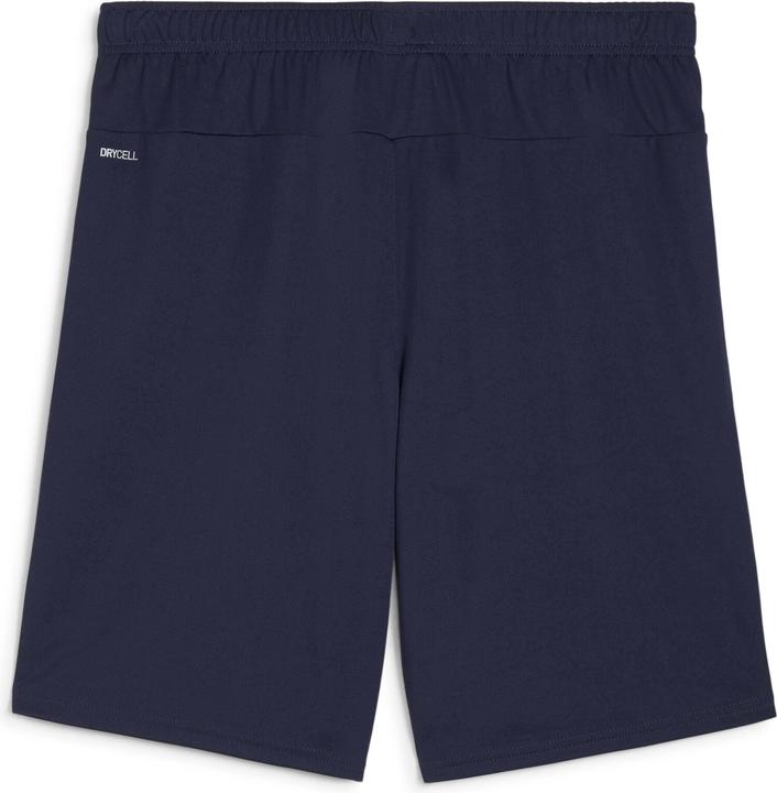 Actual product image Puma teamGOAL shorts (L)