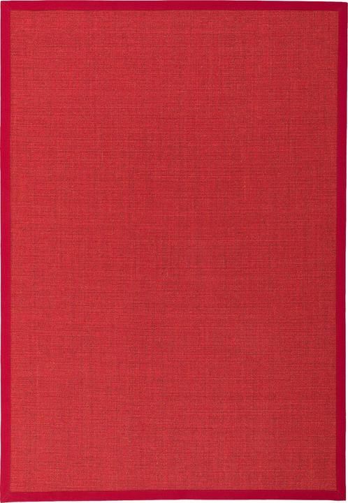 Actual product image Pergamon Sisal carpet Natura Classic with border (120 x 170 cm)