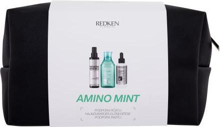 Redken Amino-Mint Shampoo (Flüssiges Shampoo)