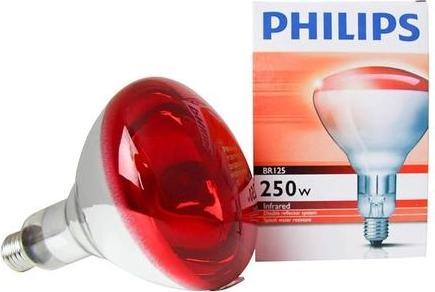 Actual product image Philips Infrared lamp BR125 (250 W)