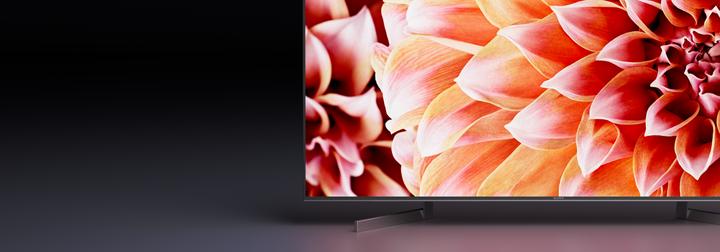 Immagine prodotto Sony Kd-55xf9005 (55", LCD, 4K, 2018)