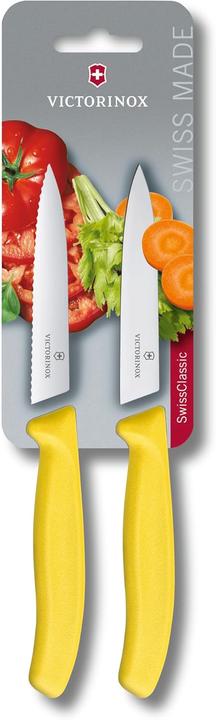Actual product image Victorinox Swiss Classic (10 cm)