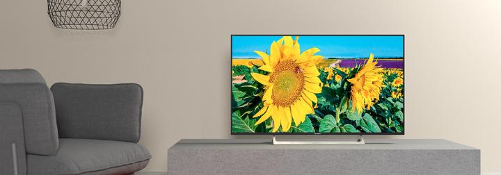 Image du produit Sony Kd-43xf8096 (43", LCD, 4K, 2018)