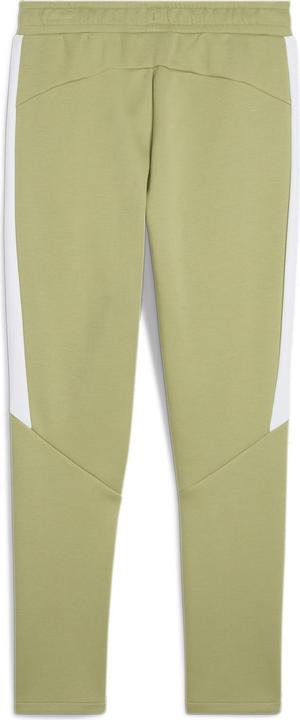 Actual product image Puma teamEVOSTRIPE Pants (L)