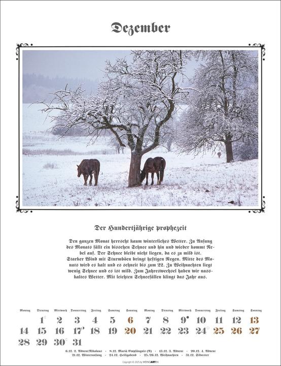 Produktbild Der Hundertjährige Kalender 2026 (30 x 39 cm, Deutsch)
