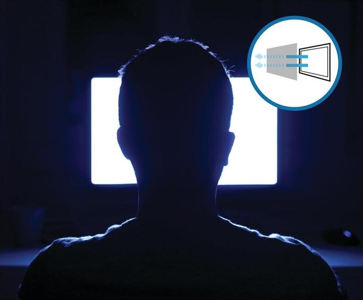 Actual product image Kensington Privacy filter - 2-fold, removable (17.30", 16 : 9)