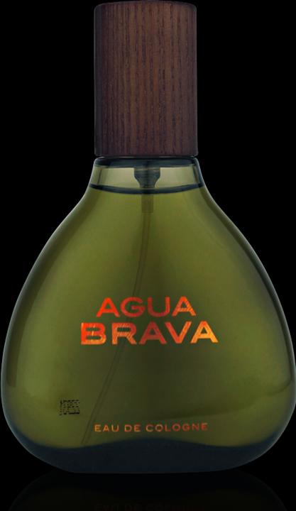 Produktbild Antonio Puig Agua Brava (Eau de Cologne, 100 ml)