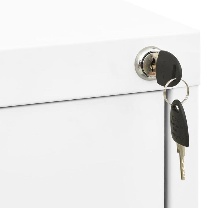 Actual product image VidaXL Aktenschrank (46 x 62 x 102.5 cm)
