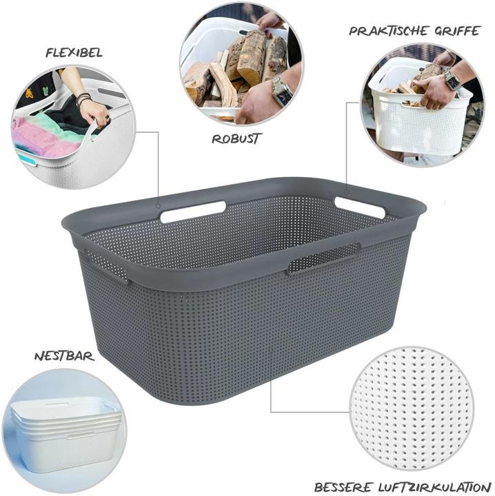Actual product image Rotho Breezes (41 l)