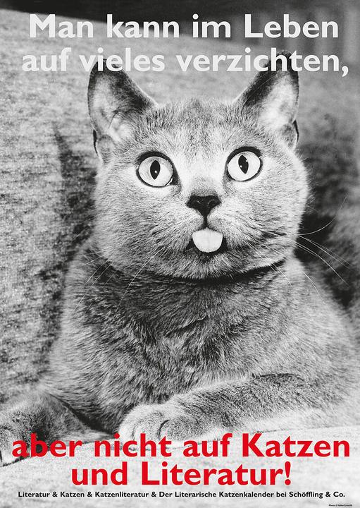 Image du produit Postkarten Katzen und Literatur (10 pcs)