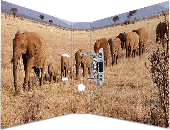 Actual product image HERMA A4 folder motif (A4, 70 mm, 1 Piece)