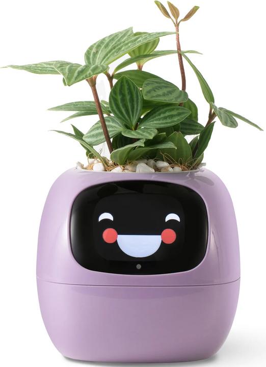 Actual product image Plantsio Ivy Smart Planter