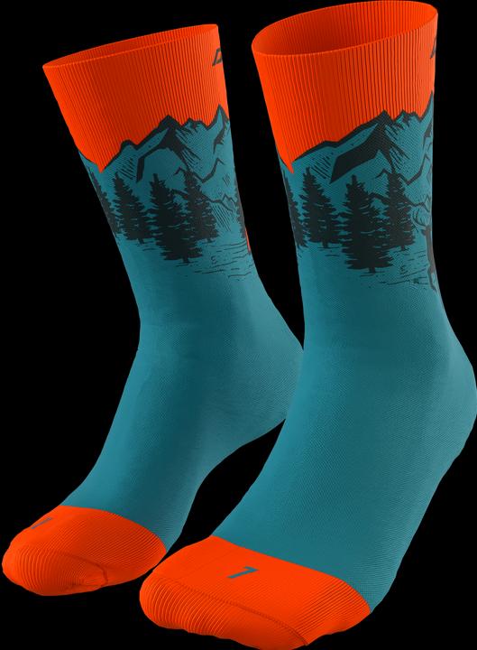 Image du produit Dynafit Chaussettes Stay Fast (35 - 38)