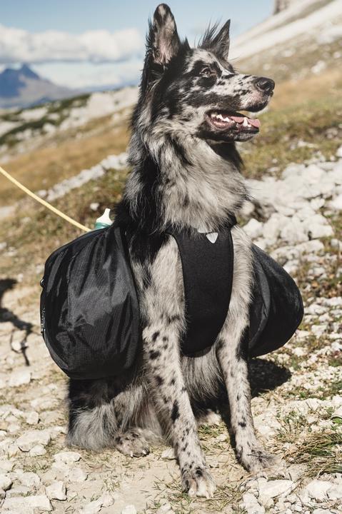 Produktbild Hurtta Rucksack inkl. Active Geschirr (M, Hundeweste)