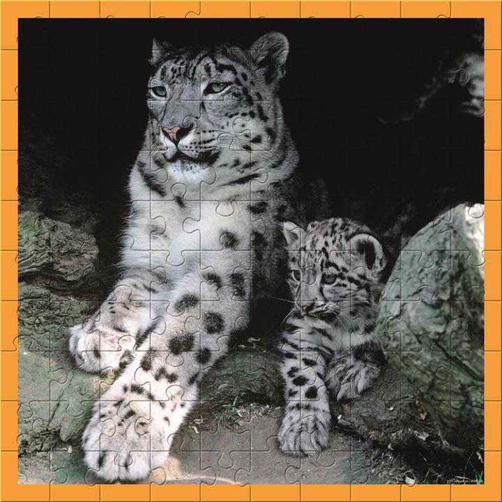 Actual product image Merchant Ambassador Snow leopards (100 pieces)