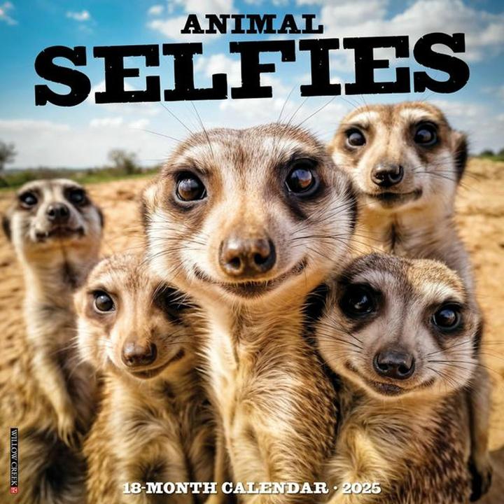 Actual product image Willow Creek Press Animal Selfies 2025 12 X 12 Wall Calendar (12 x 12 cm, English)