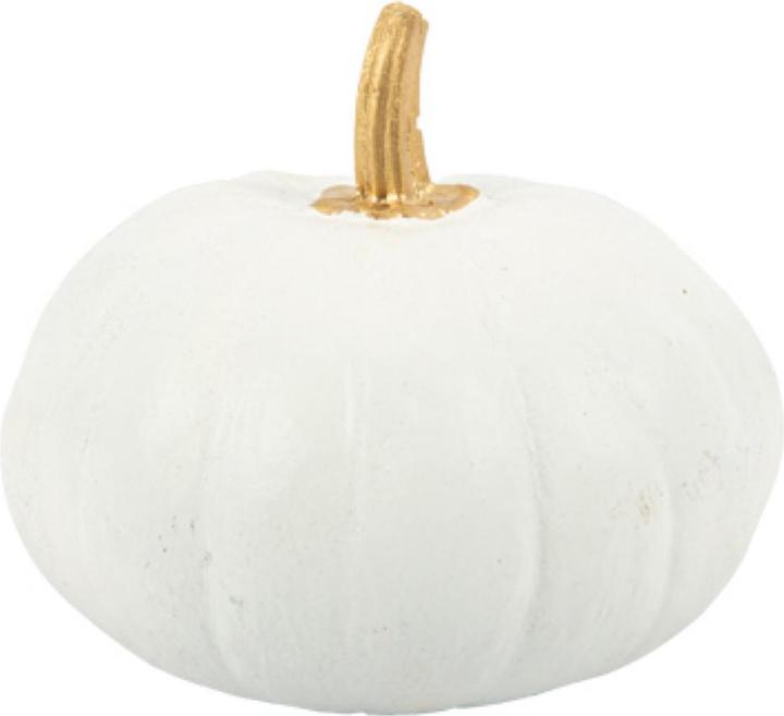 Image du produit Artifete Courge décorative