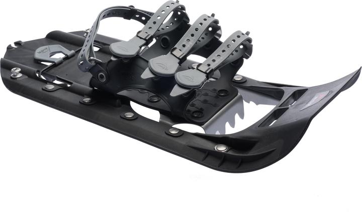 Immagine prodotto Msr Denali Ascent (22")