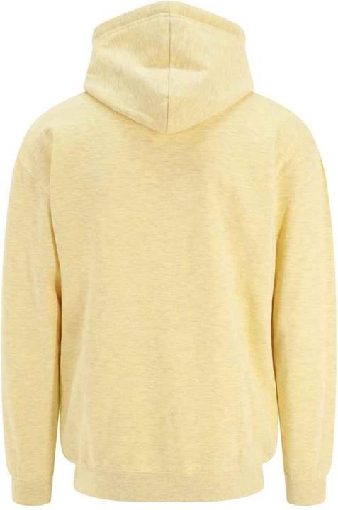 Immagine prodotto Awdis Felpa con cappuccio Surf Donna/Ladies (XL)