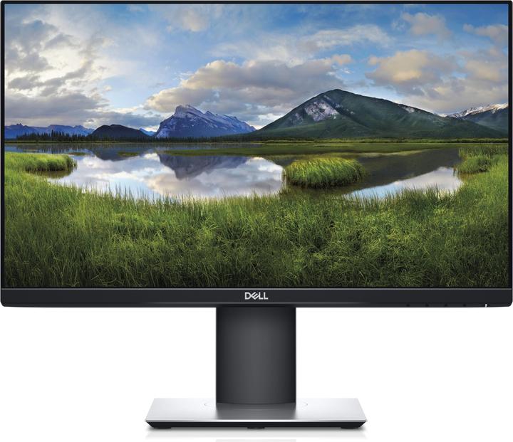 Dell P2219h (1920 x 1080 Pixel, 22")