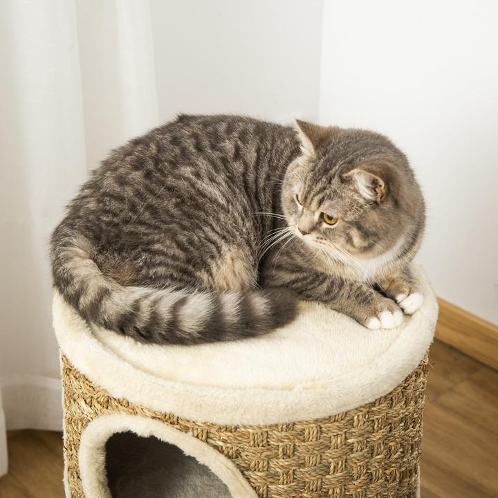 Produktbild Jamb Katzenkratzbaum (70 cm, Khaki und Braun)