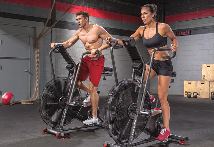 Actual product image Schwinn AD8 Airdyne Bike