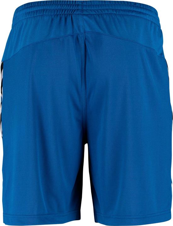 Actual product image hummel Authentic Charge Poly Shorts (S)